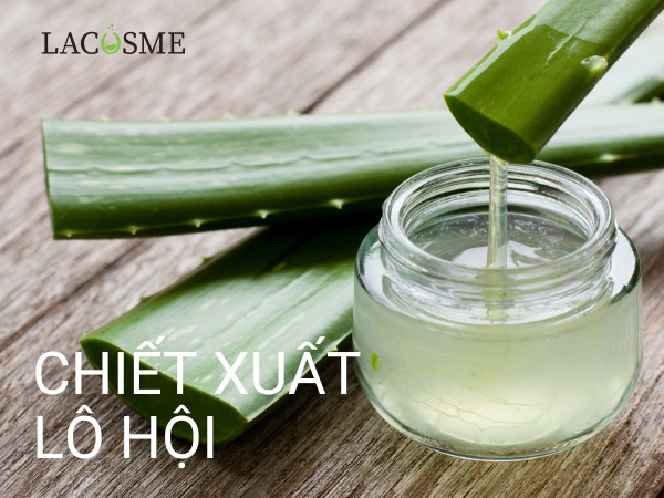 chiết xuất lô hội